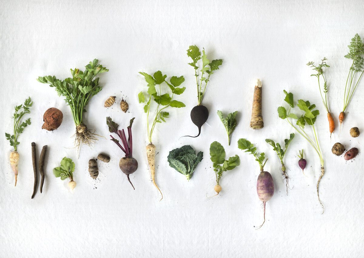 FOOD ZURICH MEHR ALS EIN FESTIVAL